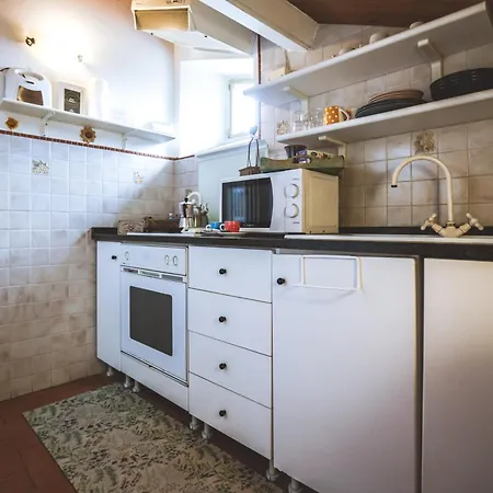 Chiama Ride The Beauty Asís