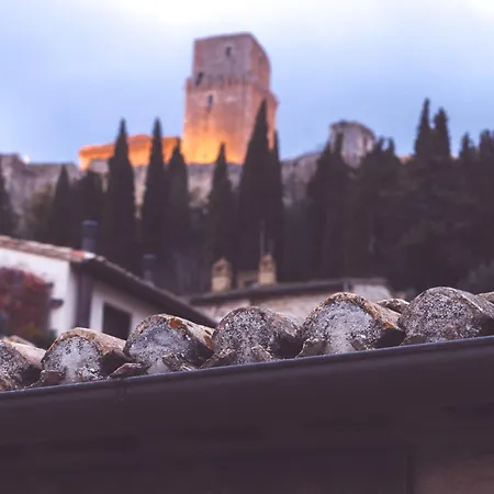 Chiama Ride The Beauty * Asís