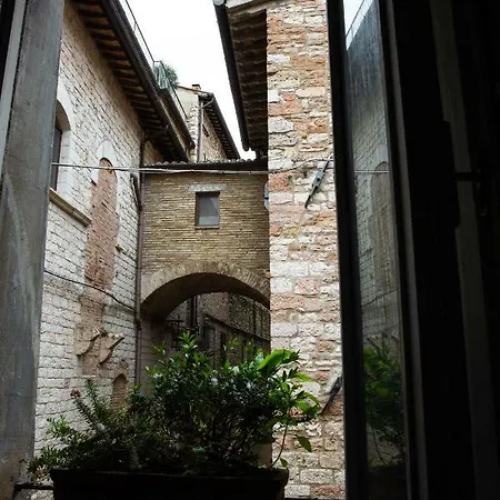 Chiama Ride The Beauty *