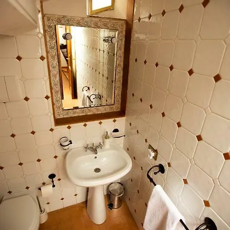 Chiama Ride The Beauty * Ασίζη