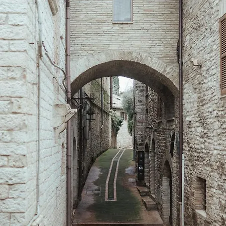 Chiama Ride The Beauty *