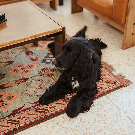 Chiama Ride The Beauty Ασίζη