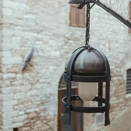 Chiama Ride The Beauty