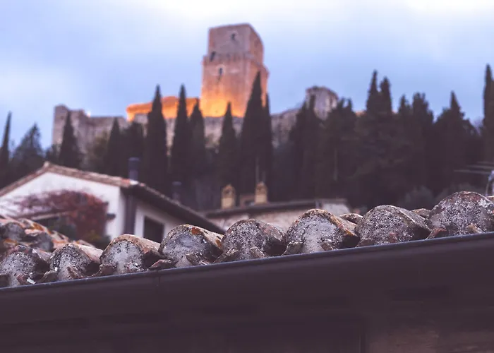 Chiama Ride The Beauty * Assisi