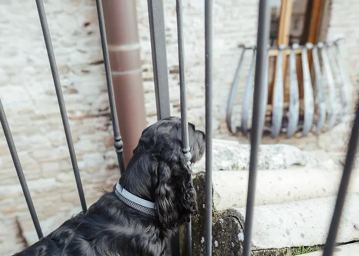 Chiama Ride The Beauty Assisi