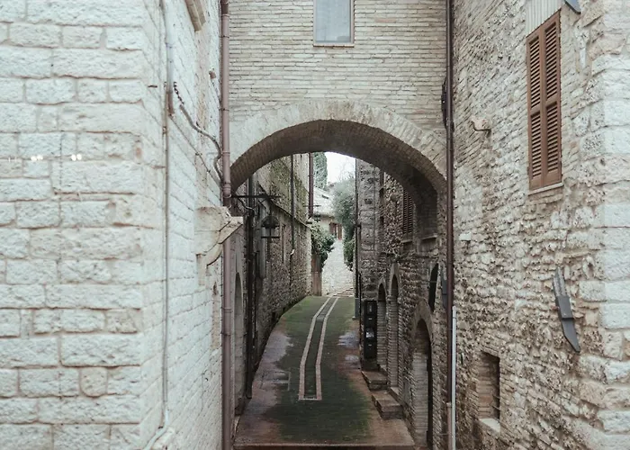 Chiama Ride The Beauty *