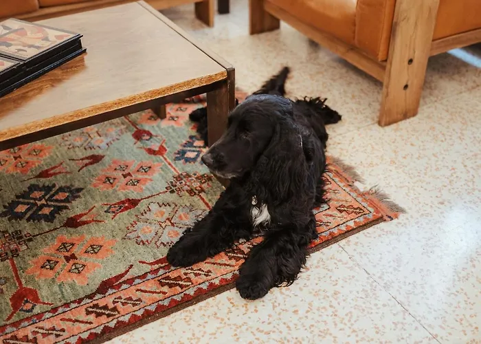 Chiama Ride The Beauty Assisi